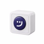 شستی